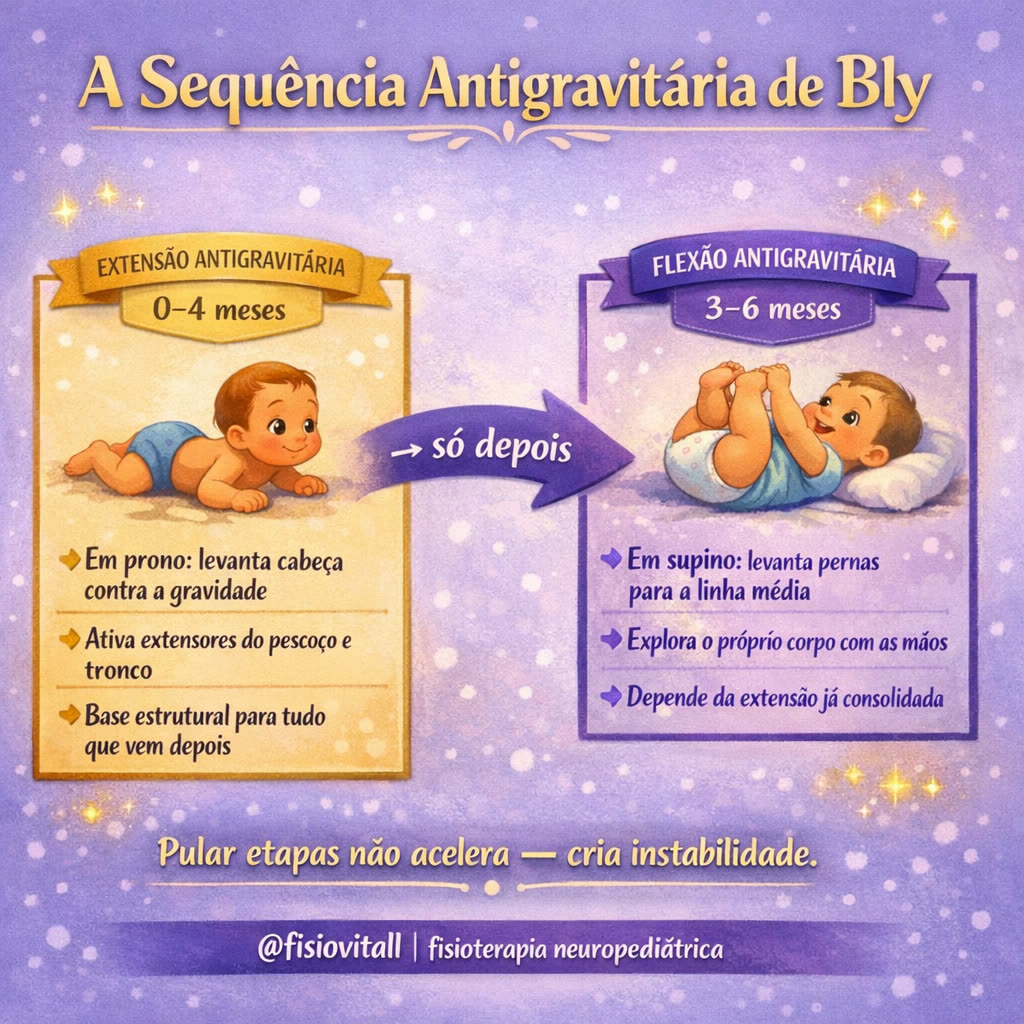 Sequência de Bly: extensão antigravitária e flexão antigravitária no desenvolvimento motor